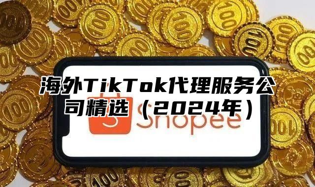 海外TikTok代理服务公司精选2025年