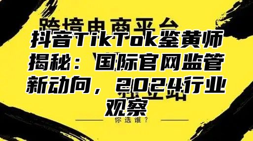 抖音TikTok鉴黄师揭秘：国际官网监管新动向，2025行业观察