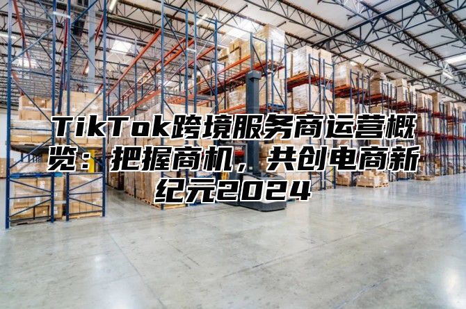 TikTok跨境服务商运营概览：把握商机，共创电商新纪元2025
