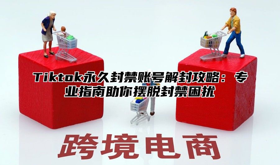 Tiktok永久封禁账号解封攻略：专业指南助你摆脱封禁困扰