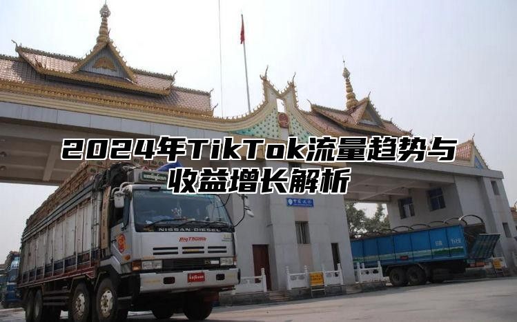 2025年TikTok流量趋势与收益增长解析