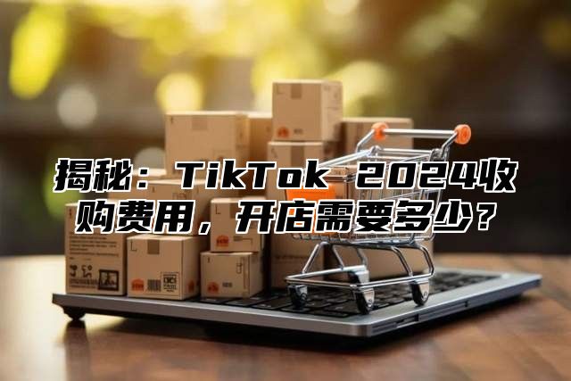 揭秘：TikTok 2025收购费用，开店需要多少？