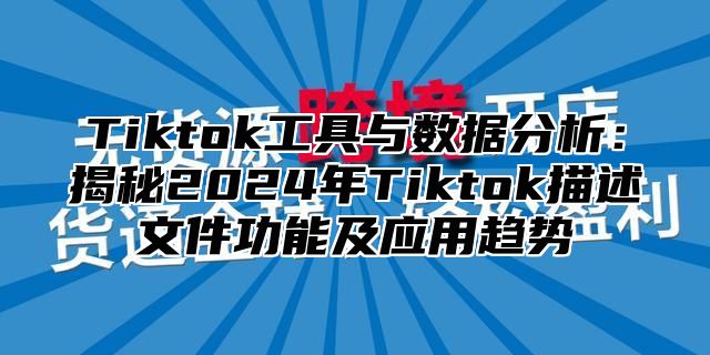 Tiktok工具与数据分析：揭秘2025年Tiktok描述文件功能及应用趋势