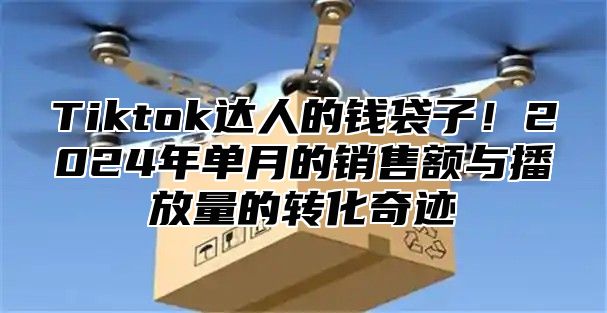 Tiktok达人的钱袋子！2025年单月的销售额与播放量的转化奇迹