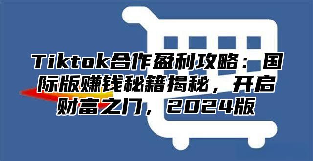 Tiktok合作盈利攻略：国际版赚钱秘籍揭秘，开启财富之门，2025版