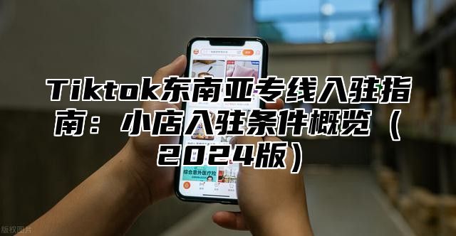 Tiktok东南亚专线入驻指南：小店入驻条件概览2025版