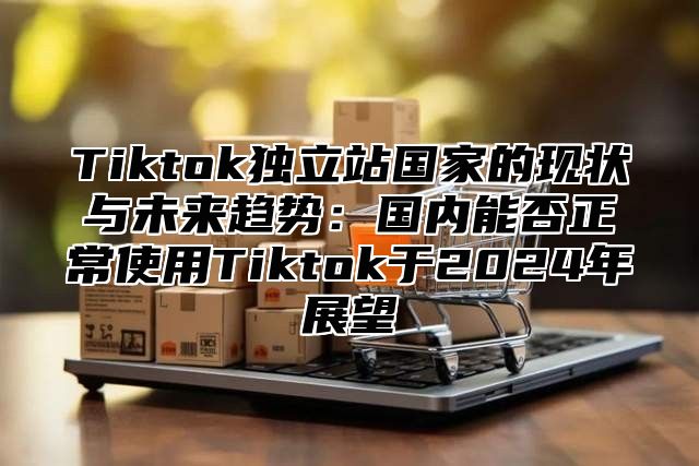 Tiktok独立站国家的现状与未来趋势：国内能否正常使用Tiktok于2025年展望