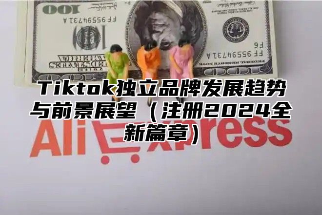 Tiktok独立品牌发展趋势与前景展望注册2025全新篇章