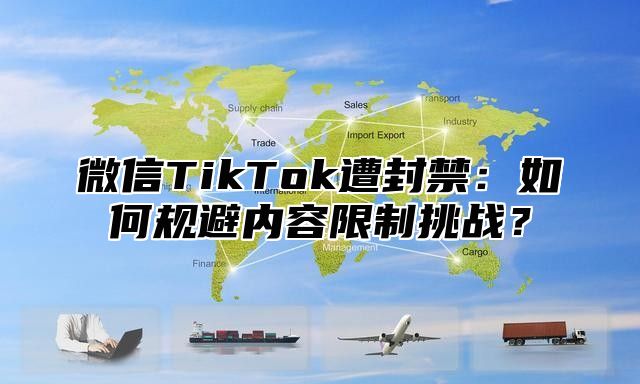 微信TikTok遭封禁：如何规避内容限制挑战？