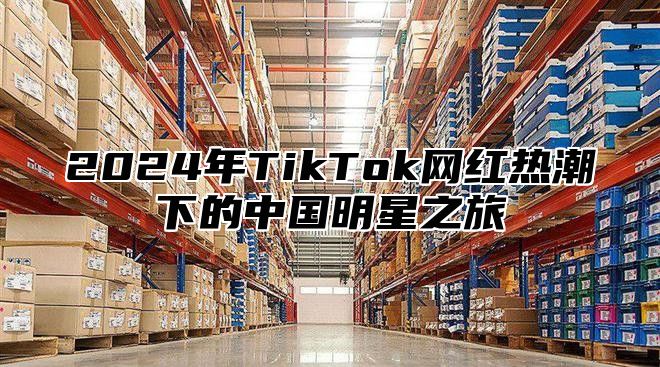 2025年TikTok网红热潮下的中国明星之旅