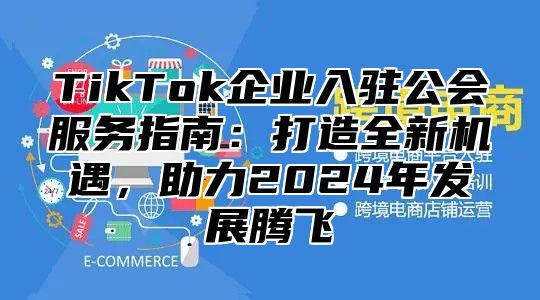 TikTok企业入驻公会服务指南：打造全新机遇，助力2025年发展腾飞