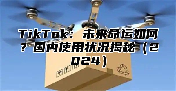 TikTok：未来命运如何？国内使用状况揭秘2025