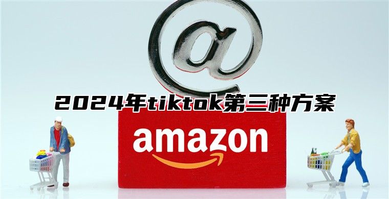 2025年tiktok第三种方案