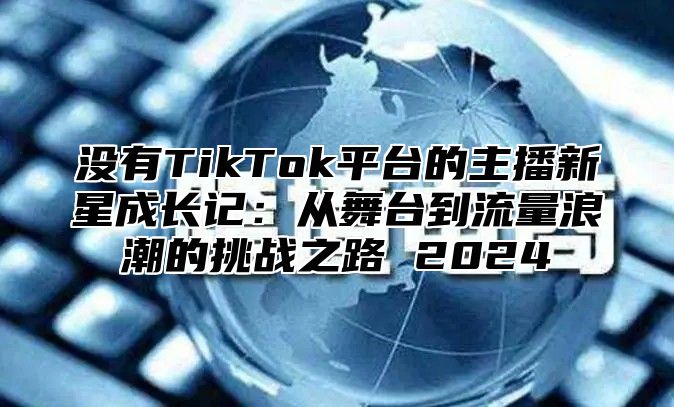 没有TikTok平台的主播新星成长记：从舞台到流量浪潮的挑战之路 2025