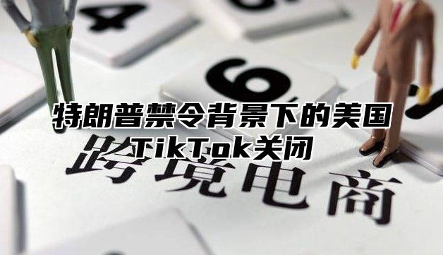 特朗普禁令背景下的美国TikTok关闭