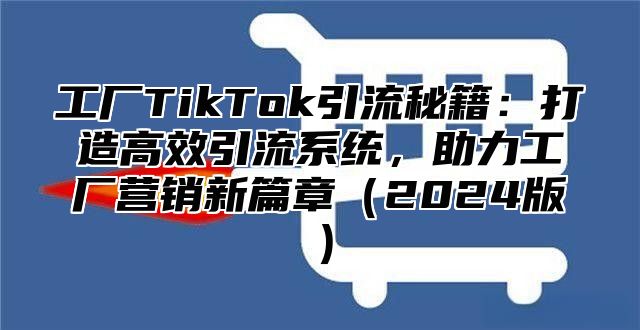 工厂TikTok引流秘籍：打造高效引流系统，助力工厂营销新篇章2025版