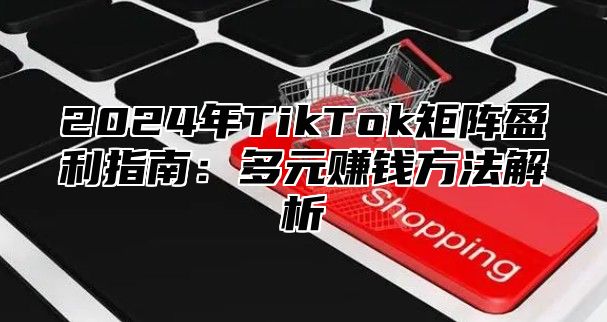 2025年TikTok矩阵盈利指南：多元赚钱方法解析