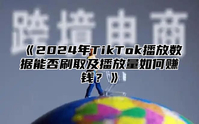 2025年TikTok播放数据能否刷取及播放量如何赚钱？