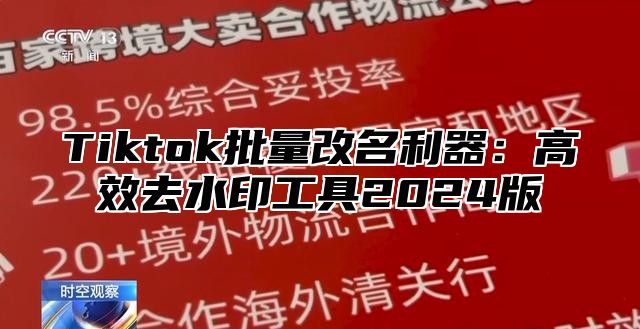 Tiktok批量改名利器：高效去水印工具2025版