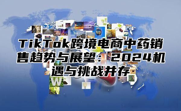 TikTok跨境电商中药销售趋势与展望：2025机遇与挑战并存