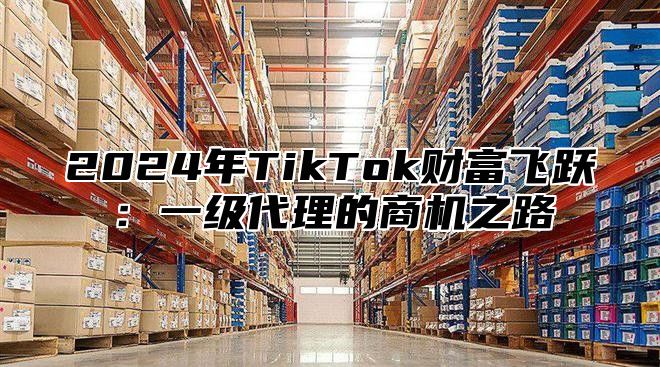 2025年TikTok财富飞跃：一级代理的商机之路