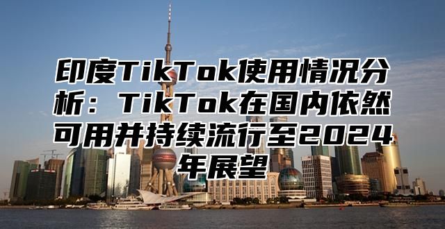 印度TikTok使用情况分析：TikTok在国内依然可用并持续流行至2025年展望