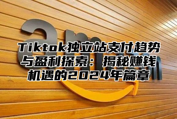 Tiktok独立站支付趋势与盈利探索：揭秘赚钱机遇的2025年篇章