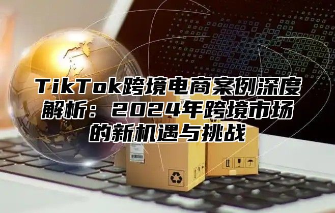 TikTok跨境电商案例深度解析：2025年跨境市场的新机遇与挑战