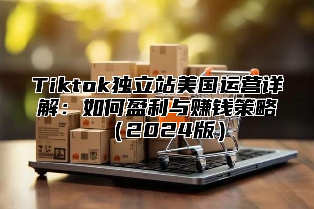 Tiktok独立站美国运营详解：如何盈利与赚钱策略2025版