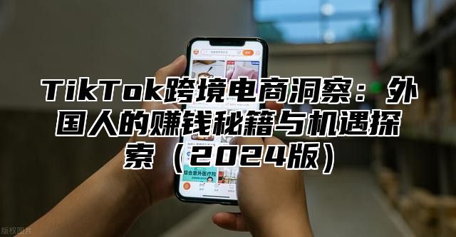 TikTok跨境电商洞察：外国人的赚钱秘籍与机遇探索2025版