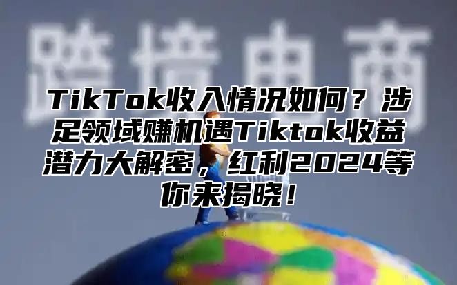 TikTok收入情况如何？涉足领域赚机遇Tiktok收益潜力大解密，红利2025等你来揭晓！
