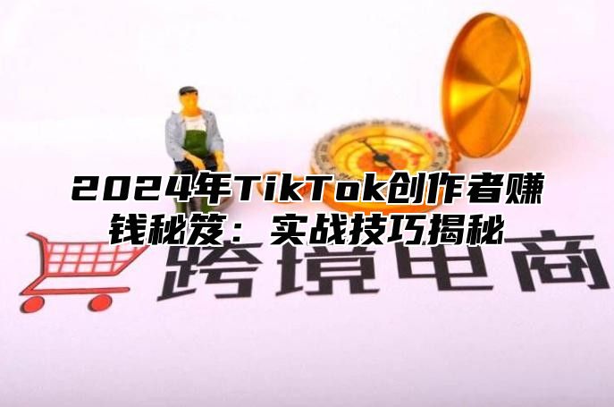 2025年TikTok创作者赚钱秘笈：实战技巧揭秘