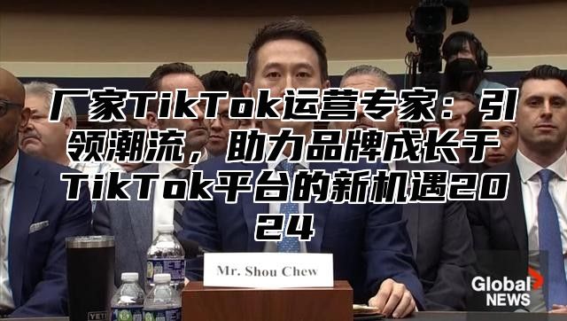 厂家TikTok运营专家：引领潮流，助力品牌成长于TikTok平台的新机遇2025