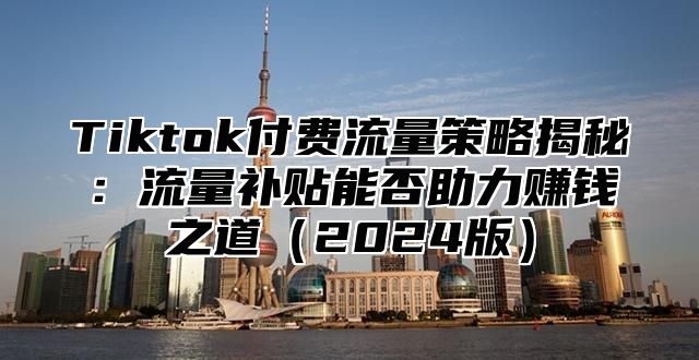 Tiktok付费流量策略揭秘：流量补贴能否助力赚钱之道2025版