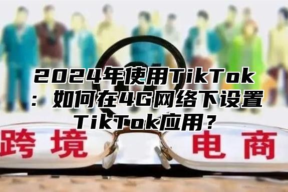 2025年使用TikTok：如何在4G网络下设置TikTok应用？