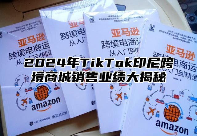 2025年TikTok印尼跨境商城销售业绩大揭秘