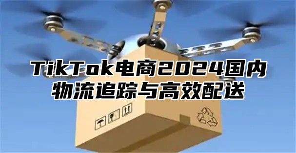 TikTok电商2025国内物流追踪与高效配送