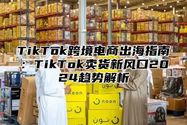 TikTok跨境电商出海指南：TikTok卖货新风口2025趋势解析
