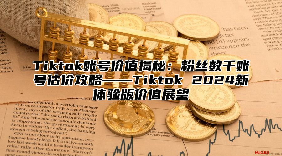 Tiktok账号价值揭秘：粉丝数千账号估价攻略——Tiktok 2025新体验版价值展望