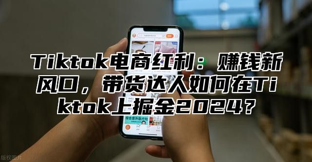 Tiktok电商红利：赚钱新风口，带货达人如何在Tiktok上掘金2025？