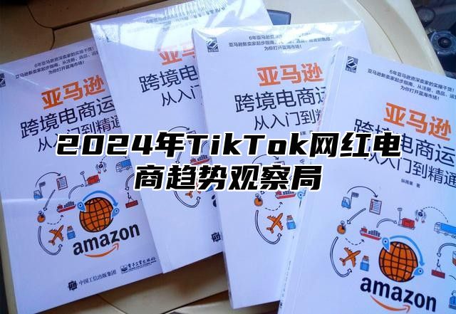 2025年TikTok网红电商趋势观察局