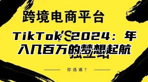 TikTok 2025年入几百万的梦想起航
