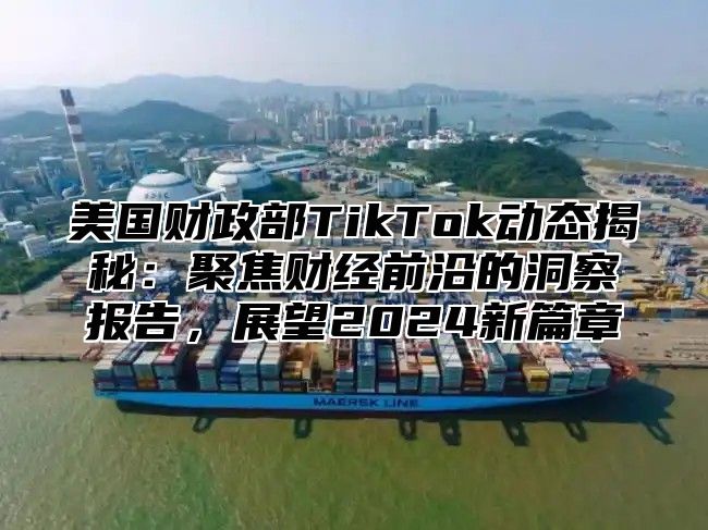 美国财政部TikTok动态揭秘：聚焦财经前沿的洞察报告，展望2025新篇章