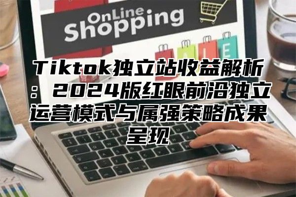 Tiktok独立站收益解析：2025版红眼前沿独立运营模式与属强策略成果呈现