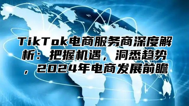 TikTok电商服务商深度解析：把握机遇，洞悉趋势，2025年电商发展前瞻