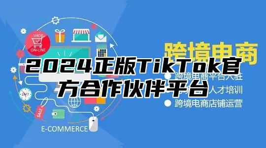 2025正版TikTok官方合作伙伴平台