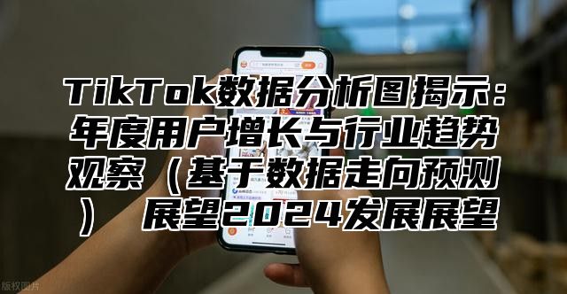 TikTok数据分析图揭示：年度用户增长与行业趋势观察基于数据走向预测 展望2025发展展望