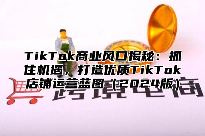 TikTok商业风口揭秘：抓住机遇，打造优质TikTok店铺运营蓝图2025版