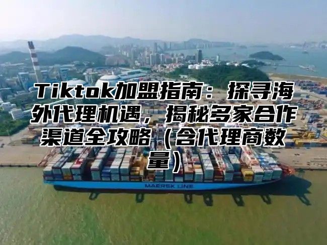 Tiktok加盟指南：探寻海外代理机遇，揭秘多家合作渠道全攻略含代理商数量