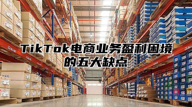 TikTok电商业务盈利困境的五大缺点